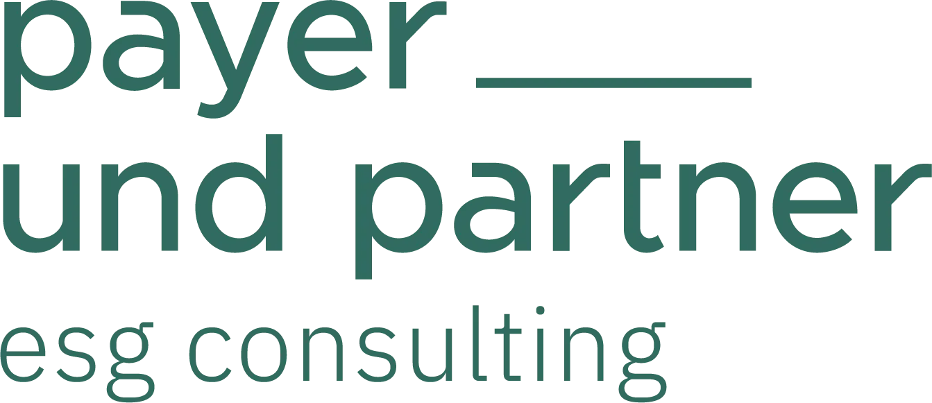 Payer & Partner ESG Consulting