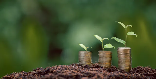 Weniger Budget, mehr Wirkung: Wie ESG-Manager:innen mit knappen Mitteln den größten Mehrwert schaffen cover