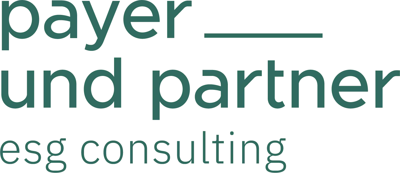 Payer & Partner ESG Consulting